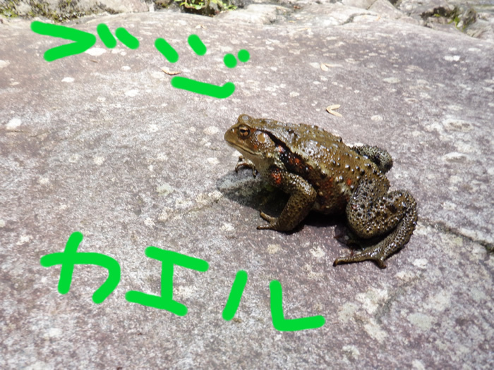 20190812AM01.jpg