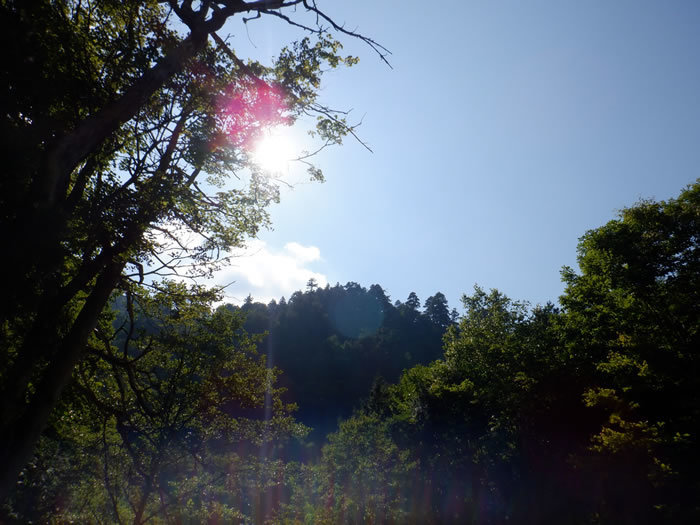 20200820PM01.jpg