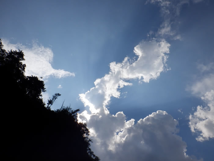 20200821PM01.jpg